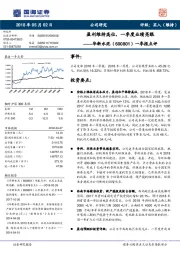 一季报点评：盈利维持高位，一季度业绩亮眼