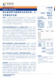 股权激励费用摊销影响表观利润，公司长期成长无虞