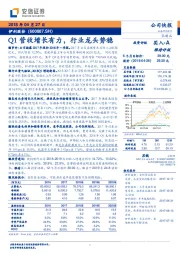 Q1营收增长有力，行业龙头势稳