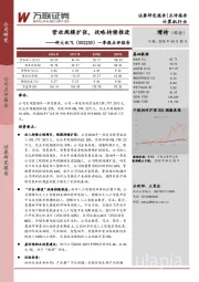 一季报点评报告:营收规模扩张,战略持续推进