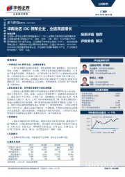 华南地区IDC领军企业，业绩高速增长