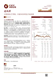 业绩略低于预期,仍看好其领先市场份额