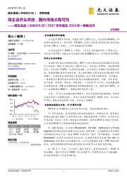 双主业齐头并进,国内市场大有可为
