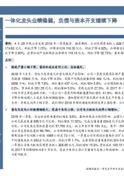 一体化龙头业绩稳健，负债与资本开支继续下降