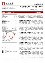 年报点评：尼龙66景气提升，公司迎来业绩反转