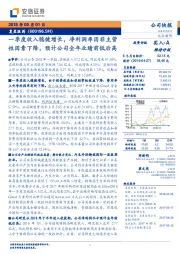 一季度收入稳健增长,净利润率因非主营性因素下降,预计公司全年业绩前低后高