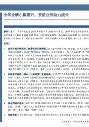 全年业绩小幅提升，安防业务助力成长