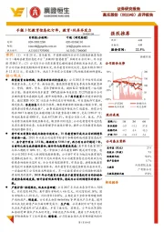 点评报告:手握3亿教育信息化订单,教育+玩具齐发力