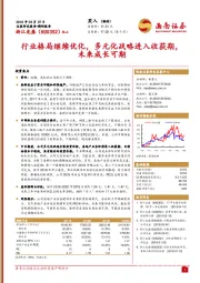 行业格局继续优化，多元化战略进入收获期，未来成长可期