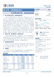 多品牌全面开花，协同效应初显