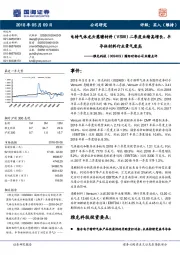 国际对标公司业绩点评：电特气体龙头慧瞻材料（VSM）二季度业绩高增长，半导体材料行业景气度高