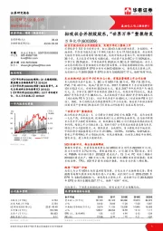 拟吸收合并控股股东，“世界万华”整装待发
