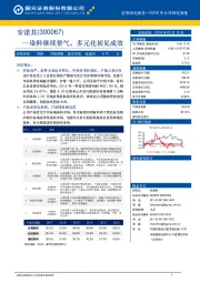 染料继续景气，多元化初见成效