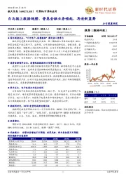 白马插上数据翅膀，普惠金融业务崛起、再造新蓝筹