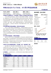 首次覆盖报告:网络安全龙头不止于安全,云计算开辟高速新航道