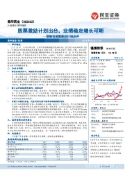 限制性股票激励计划点评:股票激励计划出台,业绩稳定增长可期