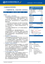 产能继续扩张,打造全球工业硅龙头
