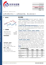 品牌消费系列之一：品牌渠道价值，再次鱼跃龙门