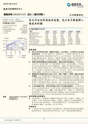 多元平台化布局初步成型，电力电子新星跨入高成长时期