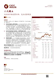 洗衣机市场消费升级，龙头优势明显