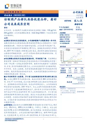 仿制药产品梯队再添优质品种,看好公司未来成长空间