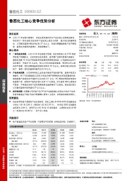 鲁西化工核心竞争优势分析