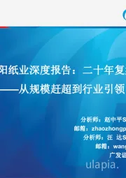 太阳纸业深度报告：二十年复盘——从规模赶超到行业引领