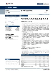 电力信息化龙头受益配售电改革