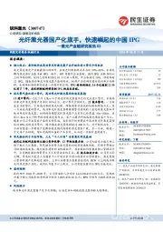 激光产业链研究报告03：光纤激光器国产化旗手，快速崛起的中国IPG