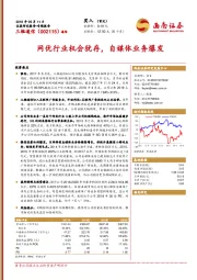 网优行业机会犹存，自媒体业务爆发