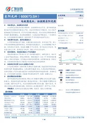 电极箔龙头，拟控股东阳光药
