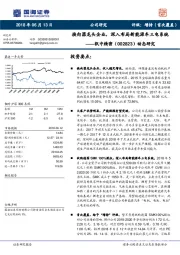 动态研究：换向器龙头企业，深入布局新能源车三电系统