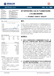 动态点评:国外原料供应紧张,尼龙66产业链提价或持续,公司业绩有望超预期