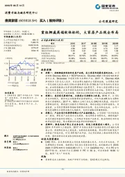 重组挪威高端软体标的，大家居产品线全布局
