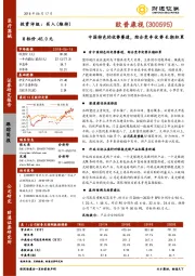 中国特色的优势赛道，综合竞争优势长期积累