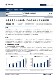 跟踪报告：业务发展步入快车道，子公司协同效应逐渐增强