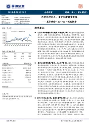 深度报告：内资车灯龙头，量价齐增稳步发展