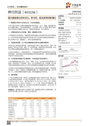 国内植物蛋白饮料龙头，新市场、新品类带动新增长