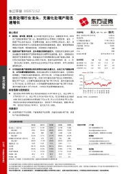 危废处理行业龙头，无害化处理产能迅速增长