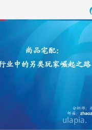 行业中的另类玩家崛起之路