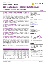 投资价值分析报告：垂直一体化铸造核心能力，滚雪球式产品扩张铸就快速成长