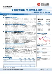 深度报告：受益自主崛起 快速发展正当时