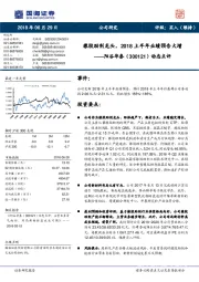 动态点评:橡胶助剂龙头,2018上半年业绩预告大增