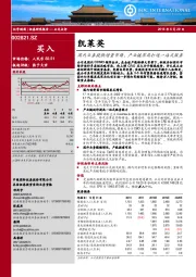 国内业务提供增量市场，产业链布局打造一站式服务