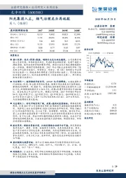 阳光集团入主，烟气治理龙头再起航