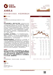 国内业务压力犹存，新莱特增势良好