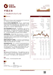 大力发展国内页岩气业务