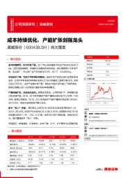 首次覆盖:成本持续优化,产能扩张剑指龙头