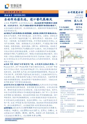 公司深度分析：全面布局谋长远，进口替代展雄风