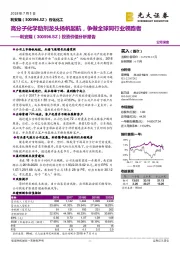 投资价值分析报告:高分子化学助剂龙头扬帆起航,争做全球同行业领跑者